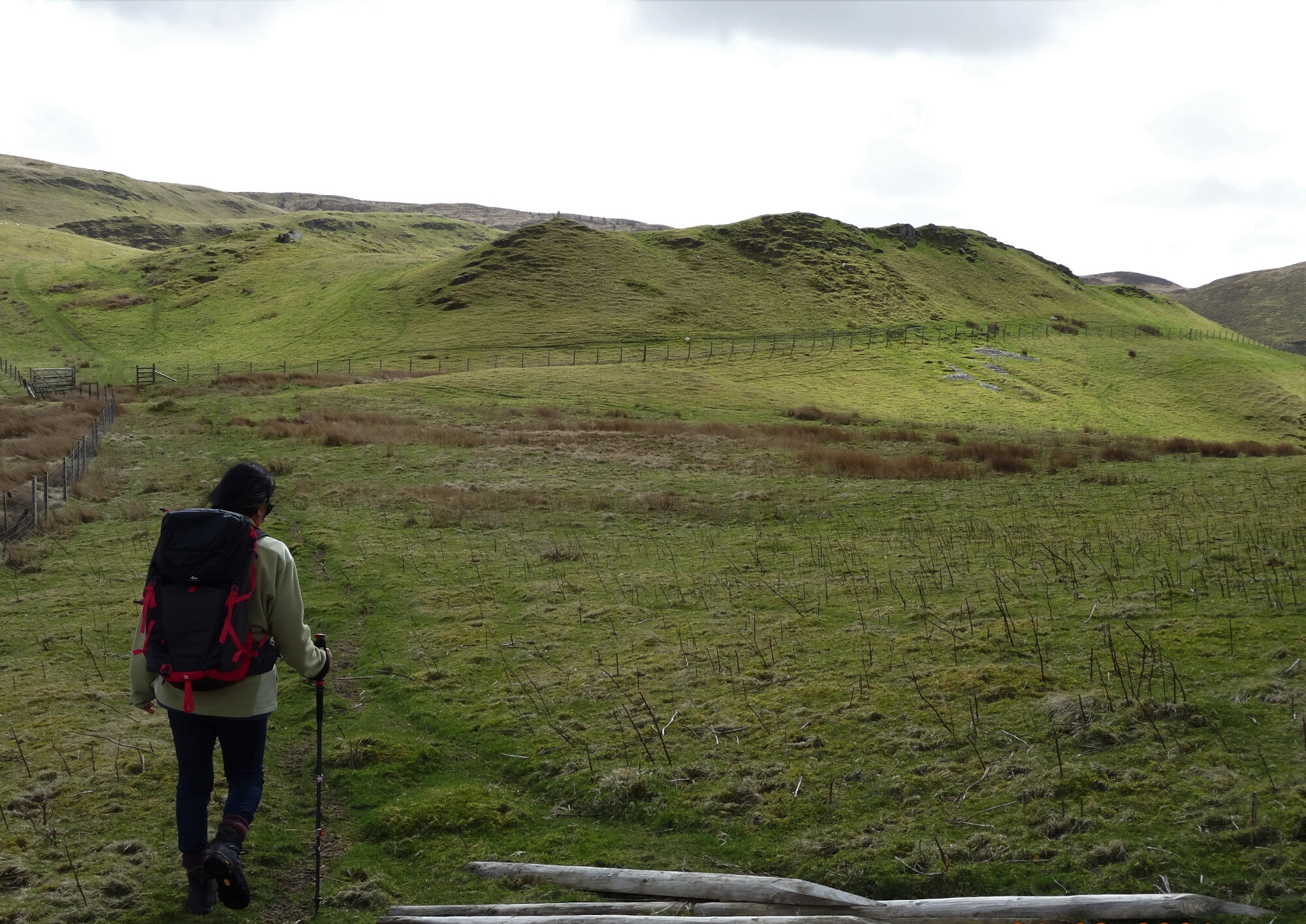 RachelSeabrook.net | Wild Walking | Ponterwyd and Pen Dihewyd | pic12